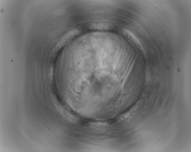 X0000088720163200706141622