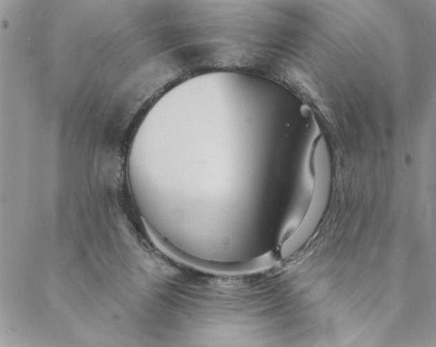 X0000088720164200706141622