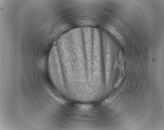 X0000088720165200706141622