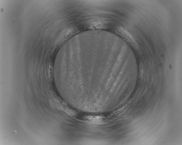 X0000088720169200706141622