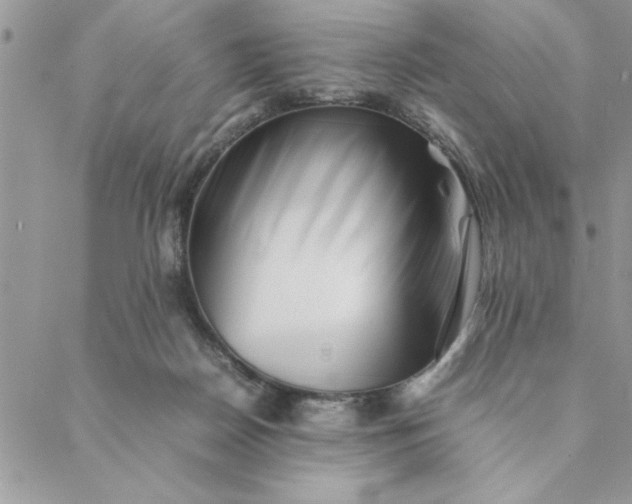 X0000088720170200706141622