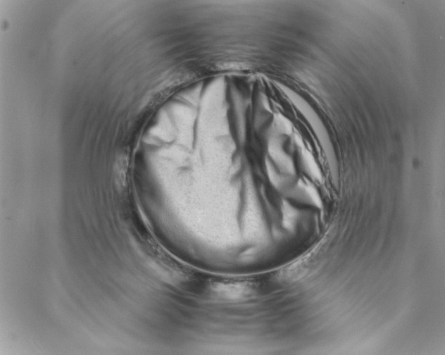 X0000088720171200706141622