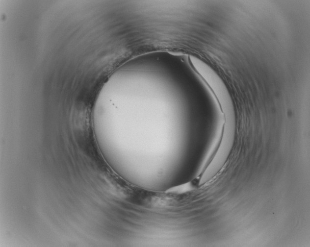 X0000088720172200706141622