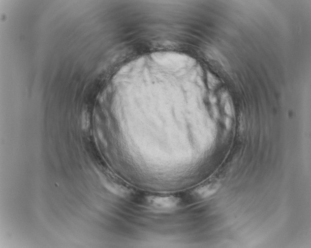 X0000088720173200706141622