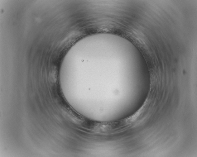 X0000088720174200706141622