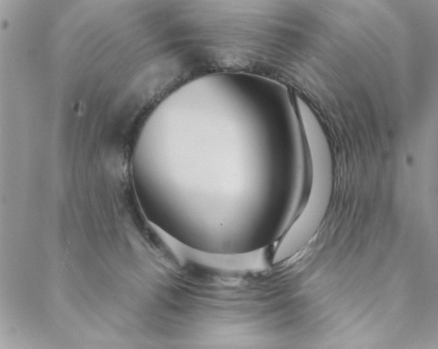 X0000088720176200706141622