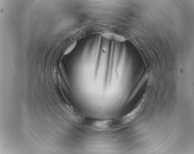 X0000088720178200706141622