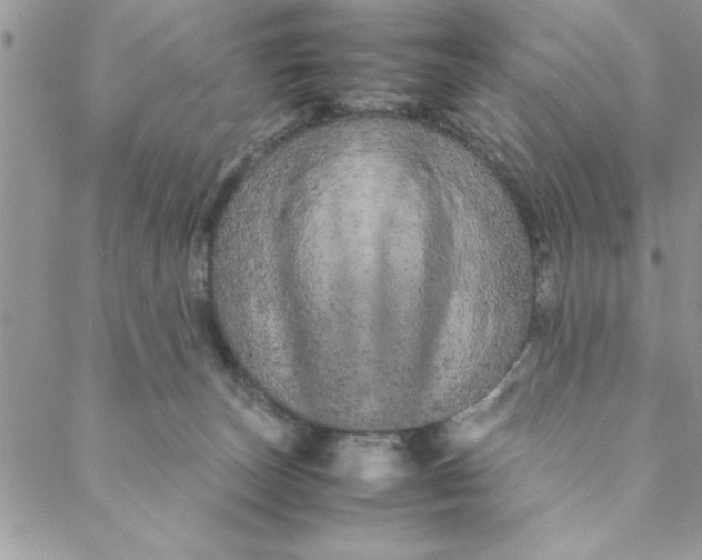 X0000088720179200706141622