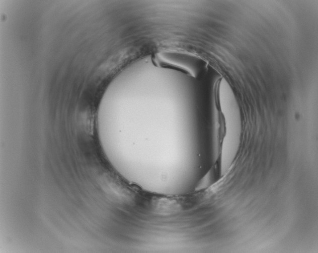 X0000088720180200706141622