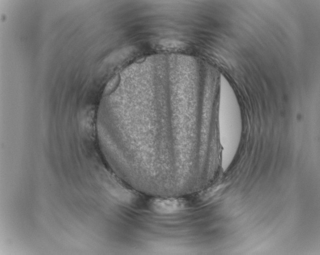 X0000088720181200706141622