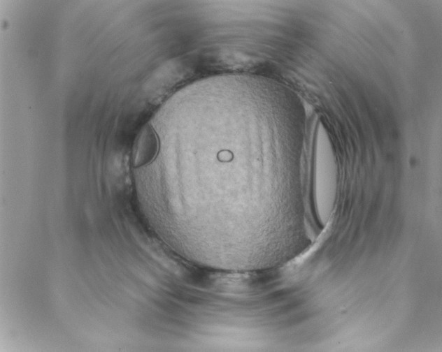 X0000088720182200706141622