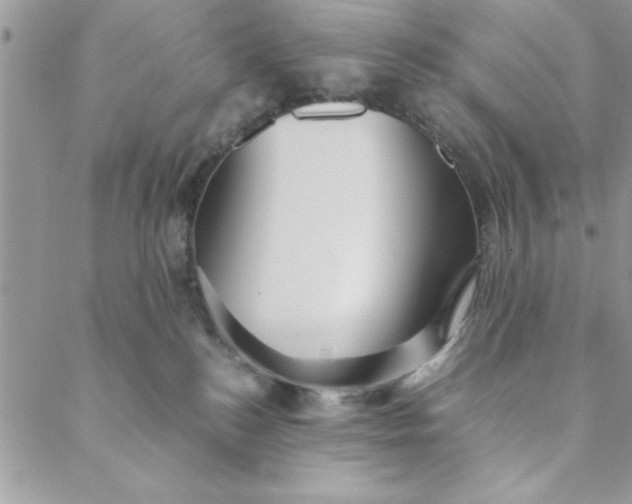 X0000088720184200706141622