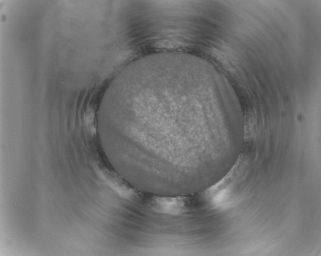 X0000088720187200706141622