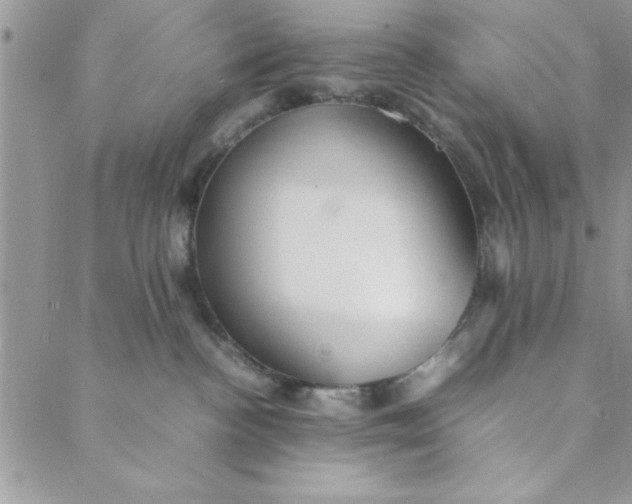 X0000088720188200706141622