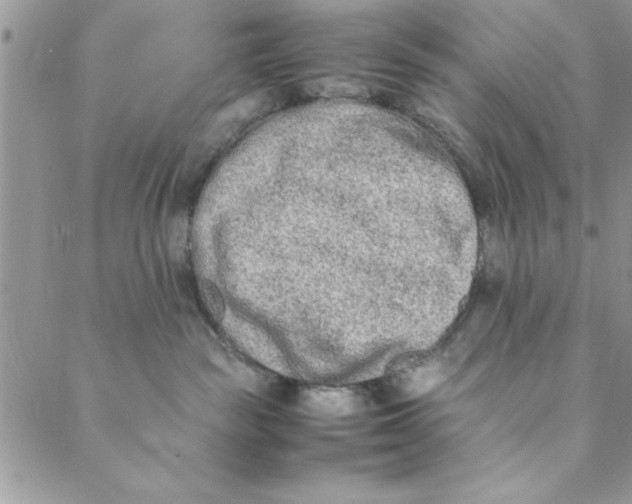 X0000088720189200706141622