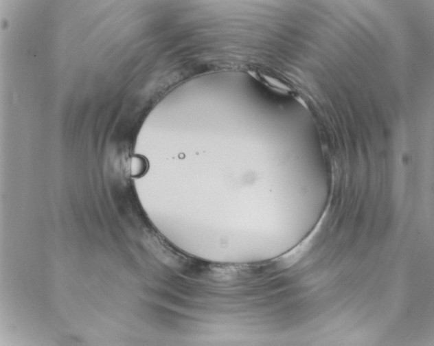 X0000088720190200706141622