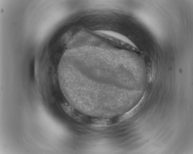 X0000088720191200706141622