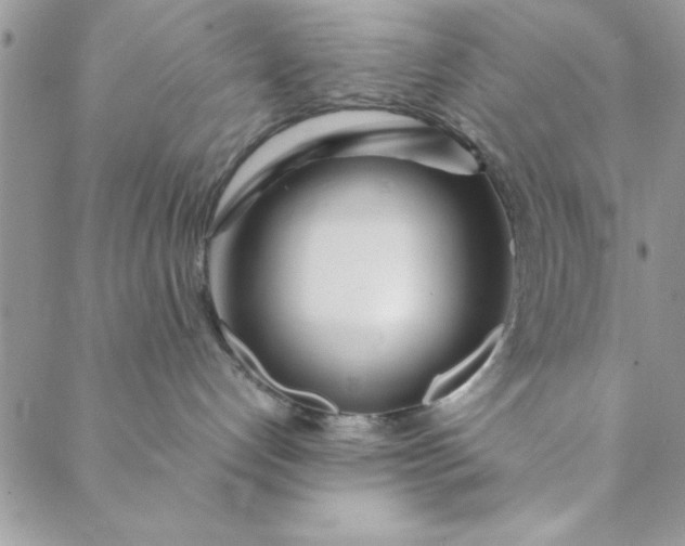 X0000088720192200706141622