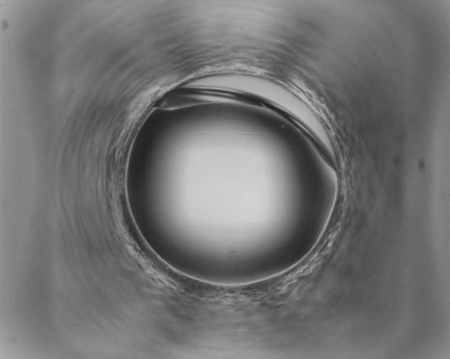 X0000088720193200706141621