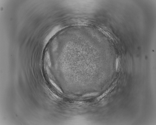 X0000088720195200706141621