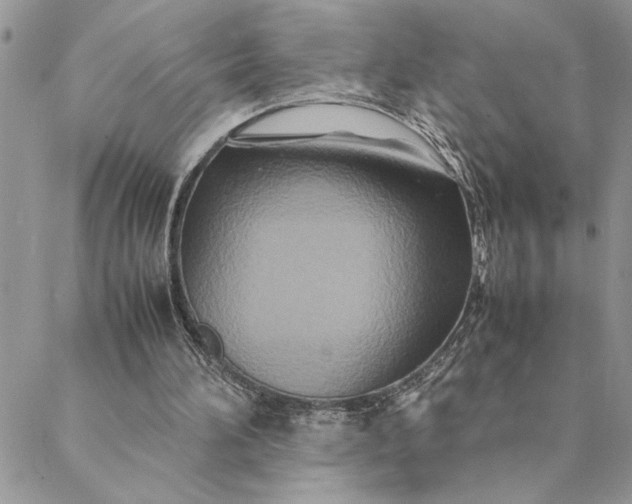 X0000088720196200706141621