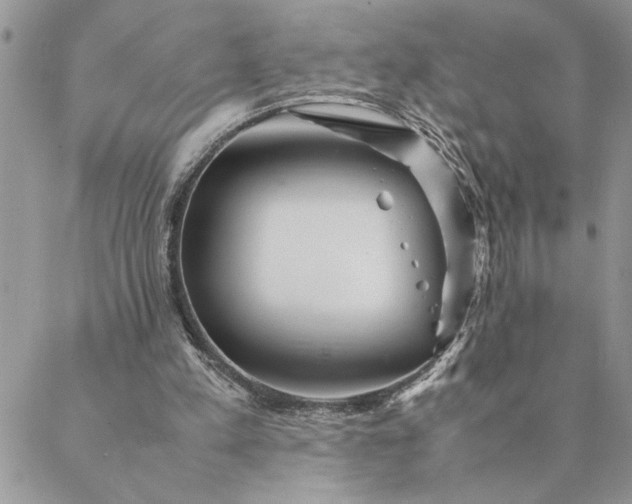 X0000088720197200706141621