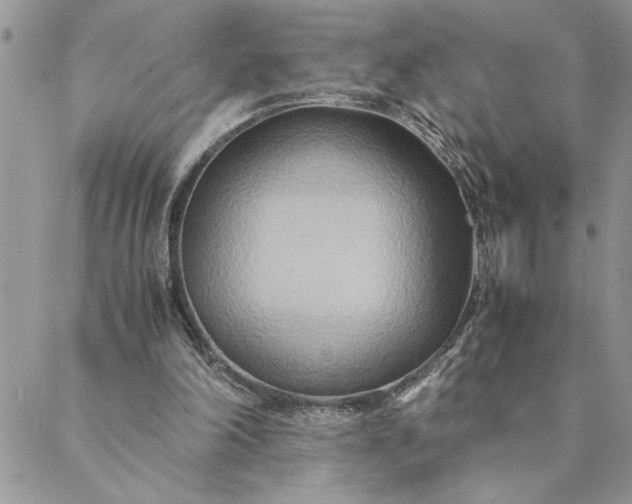 X0000088720198200706141621