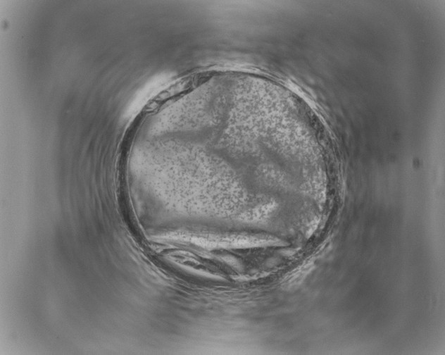 X0000088720199200706141621