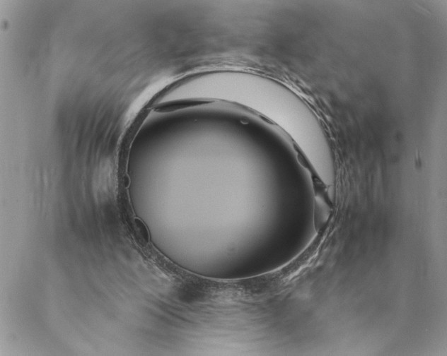 X0000088720200200706141621