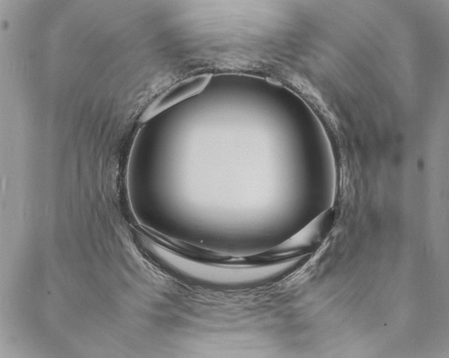 X0000088720201200706141621