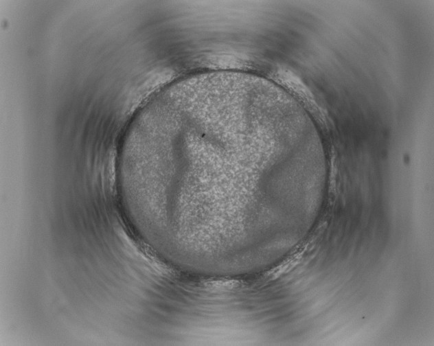 X0000088720202200706141621