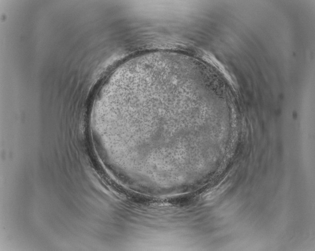 X0000088720203200706141621