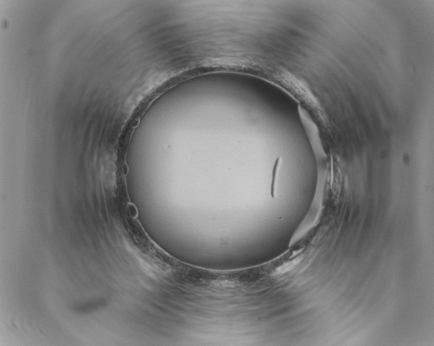 X0000088720204200706141621