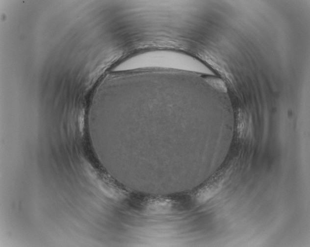 X0000088720206200706141621