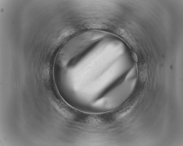 X0000088720207200706141621