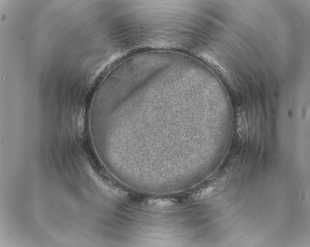 X0000088720208200706141621