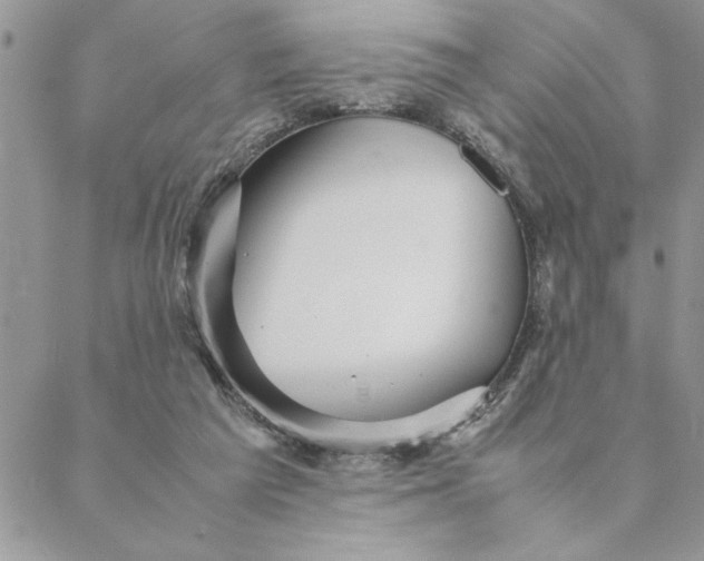 X0000088720209200706141621