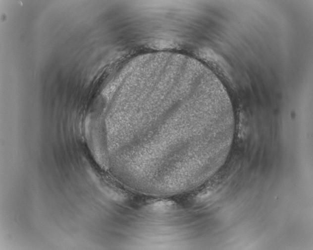 X0000088720210200706141621