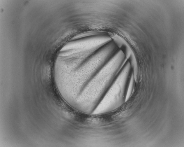 X0000088720211200706141621