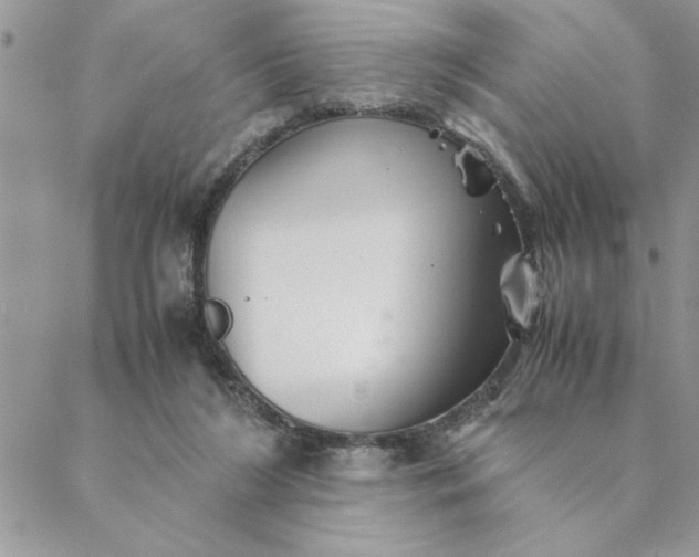 X0000088720212200706141621