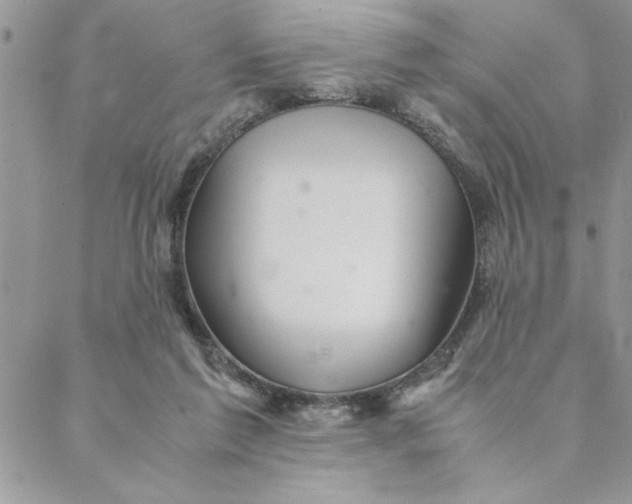 X0000088720213200706141621