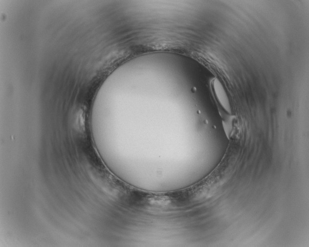 X0000088720214200706141621