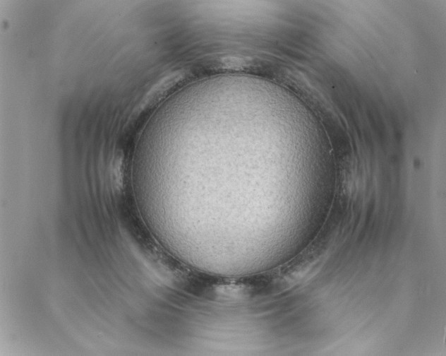 X0000088720216200706141621