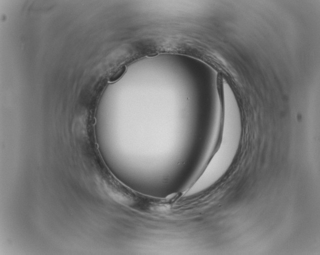 X0000088720217200706141621