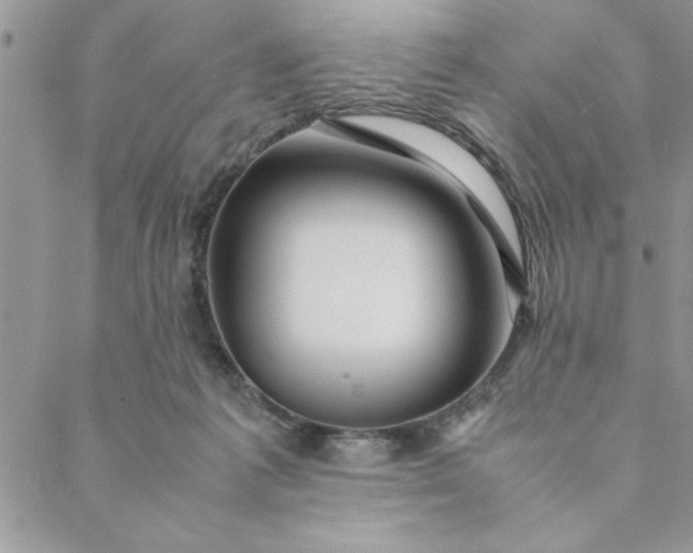 X0000088720221200706141621