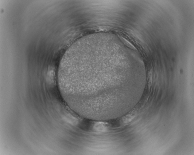 X0000088720222200706141621