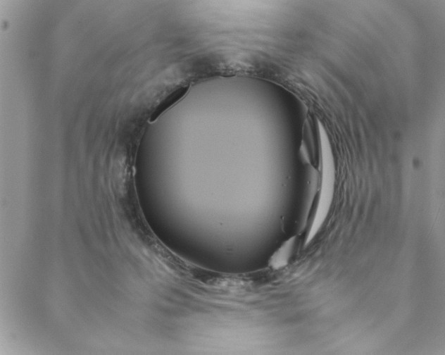 X0000088720223200706141621