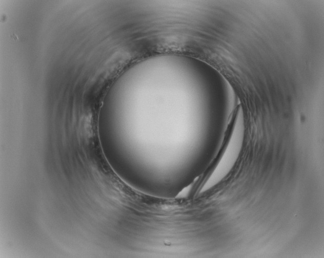 X0000088720224200706141621