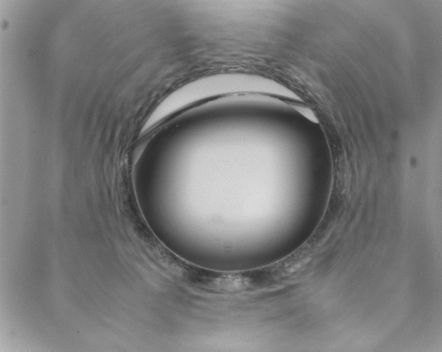 X0000088720225200706141621