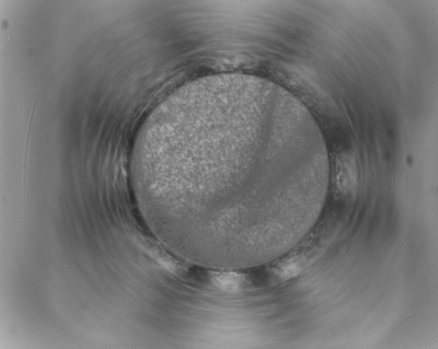 X0000088720226200706141621